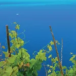 Vikendica Gornje Selo Bb Iii *