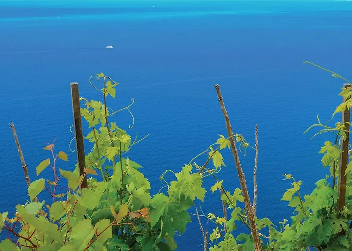 Casa vacanze Gornje Selo Bb Iii *